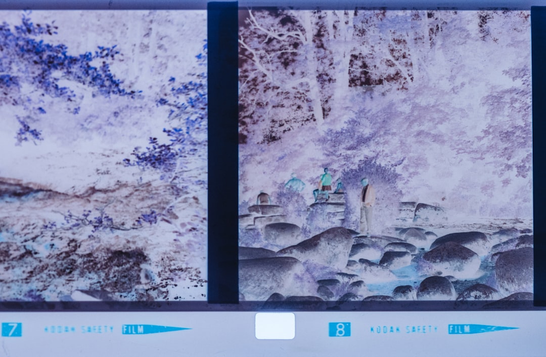 이미지 압축 방법 — 화질 유지하면서 용량 80% 줄이기